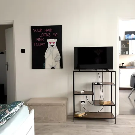 Sabo Komenskeho Apartment Kosice